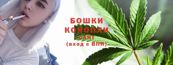 PSILOCYBIN Верея