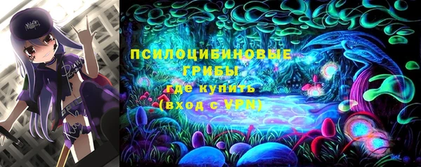 PSILOCYBIN Верея