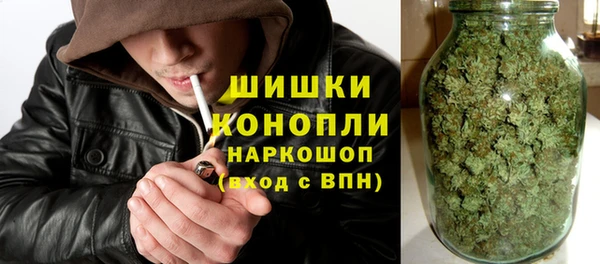 PSILOCYBIN Верея