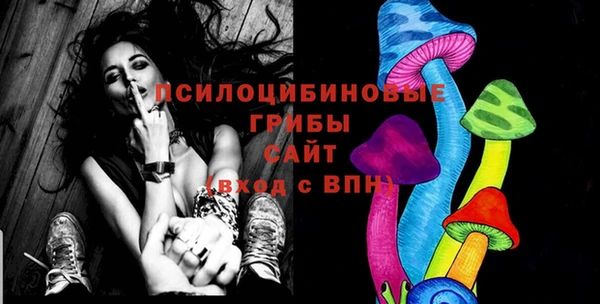 PSILOCYBIN Верея