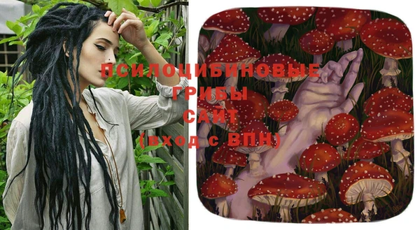дмт Верхний Тагил