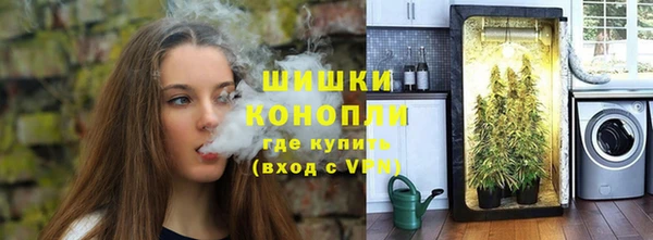 PSILOCYBIN Верея