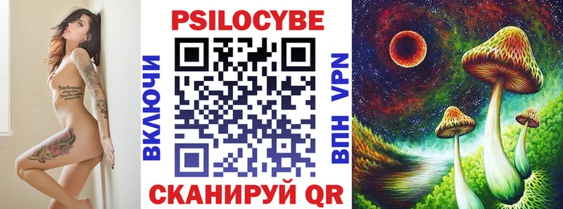 darknet Telegram  Гай  Псилоцибиновые грибы Cubensis 